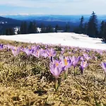 Feriehus Beskidzka Stodola Przy Szlaku Z Pieknym Widokiem *