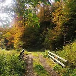 Beskidzka Stodola Przy Szlaku Z Pieknym Widokiem * Zlatna