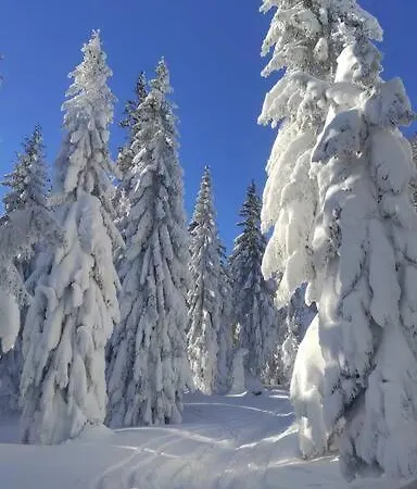 Beskidzka Stodola Przy Szlaku Z Pieknym Widokiem *