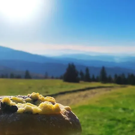 Hébergement de vacances Beskidzka Stodola Przy Szlaku Z Pieknym Widokiem