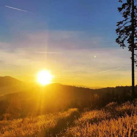 Beskidzka Stodola Przy Szlaku Z Pieknym Widokiem Hébergement de vacances Zlatna