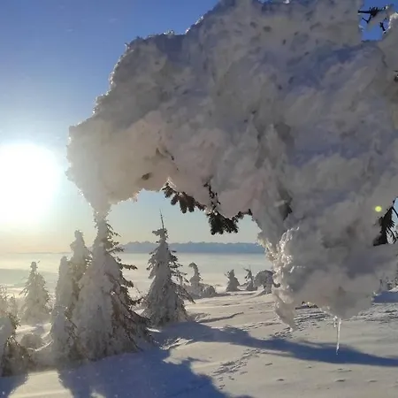 Beskidzka Stodola Przy Szlaku Z Pieknym Widokiem Hébergement de vacances