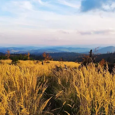 Beskidzka Stodola Przy Szlaku Z Pieknym Widokiem Hébergement de vacances Zlatna
