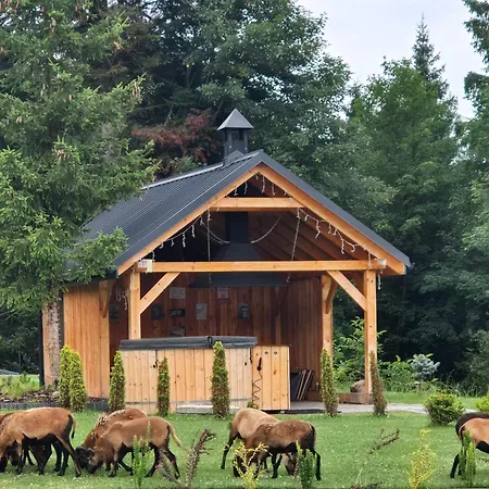 Prázdninový dům Beskidzka Stodola Przy Szlaku Z Pieknym Widokiem Zlatna