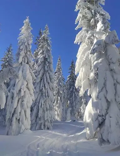 Beskidzka Stodola Przy Szlaku Z Pieknym Widokiem *