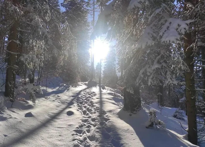Prázdninový dům Beskidzka Stodola Przy Szlaku Z Pieknym Widokiem *