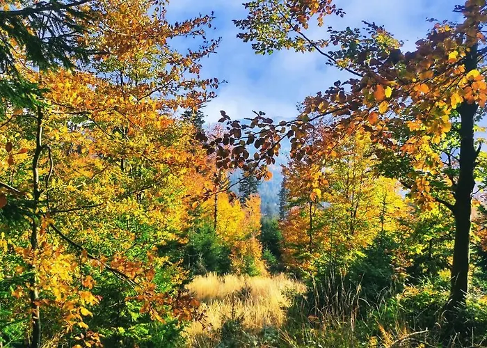 Beskidzka Stodola Przy Szlaku Z Pieknym Widokiem Prázdninový dům