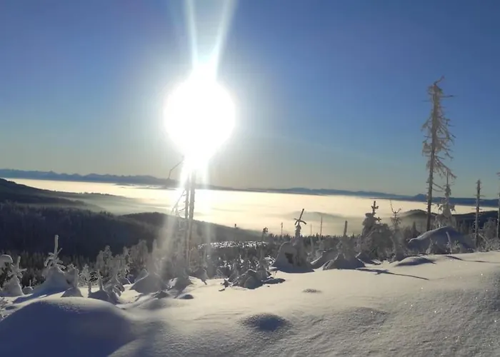 Beskidzka Stodola Przy Szlaku Z Pieknym Widokiem בית נופש Zlatna