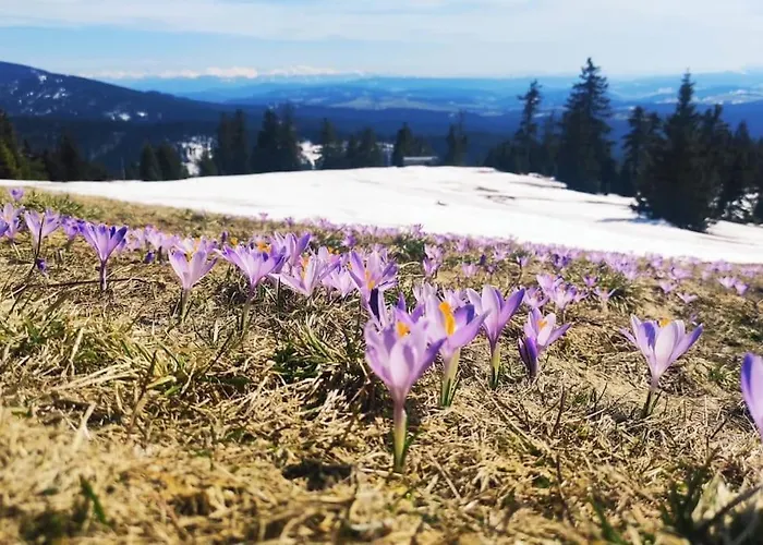 בית נופש Beskidzka Stodola Przy Szlaku Z Pieknym Widokiem *