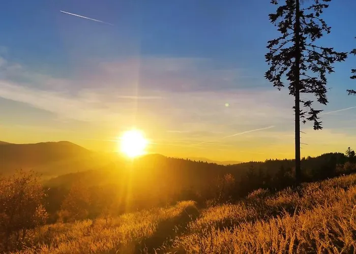 Beskidzka Stodola Przy Szlaku Z Pieknym Widokiem Prázdninový dům Zlatna