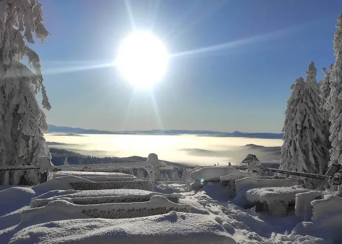 Beskidzka Stodola Przy Szlaku Z Pieknym Widokiem Zlatna