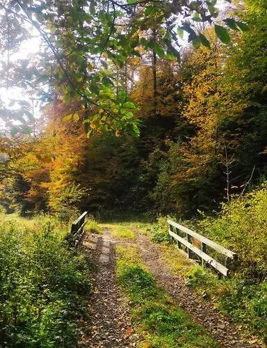 Beskidzka Stodola Przy Szlaku Z Pieknym Widokiem * Zlatna
