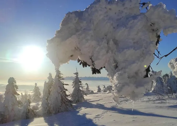 Beskidzka Stodola Przy Szlaku Z Pieknym Widokiem Prázdninový dům