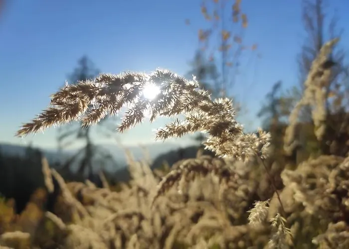 Beskidzka Stodola Przy Szlaku Z Pieknym Widokiem *