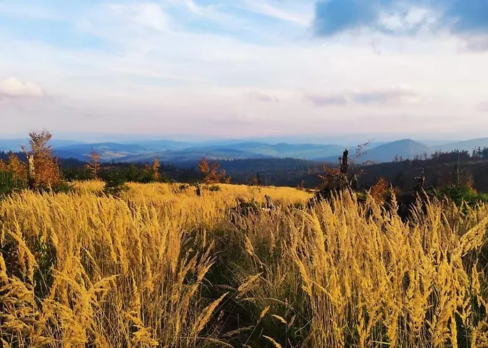 Beskidzka Stodola Przy Szlaku Z Pieknym Widokiem בית נופש Zlatna